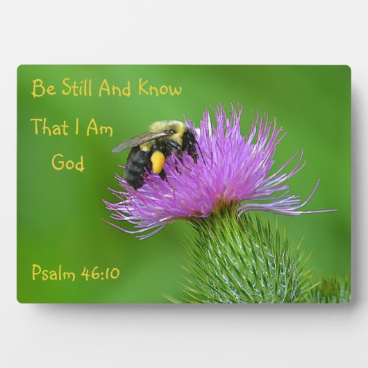 Seien Sie noch Hummel Fotoplatte (Vorderseite)