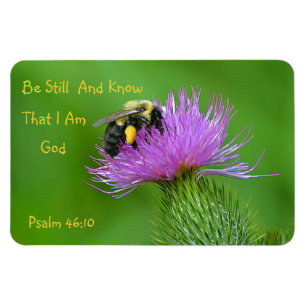 Seien Sie noch Hummel Magnet