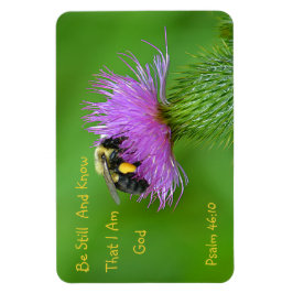 Seien Sie noch Hummel Magnet