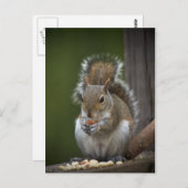 Seien Sie sehr ruhig Postkarte (Vorne/Hinten)