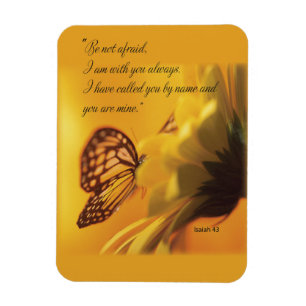 Seien Sie sich nicht vor religiösen Schmetterling Magnet