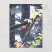 Seien Sie sich Postkarte (Vorderseite)