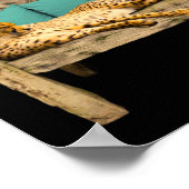 Seien Sie tapfer Vintag Schoolgirl & Cheetah Campy Poster (Ecke)