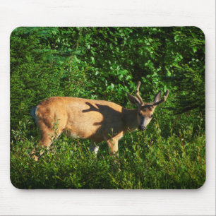 Seien Sie unterwegs Mousepad