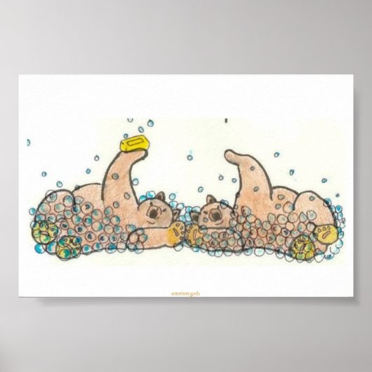 Seifenbären Poster (Vorne)
