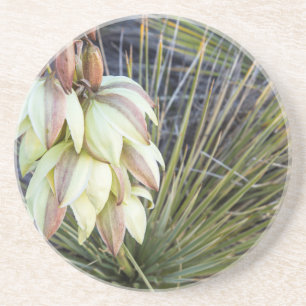 Seifenbaum-Yucca-Blüten am oberen Missouri Untersetzer