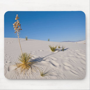 Seifenbaum-Yucca, langer Schatten, Querdünen Mousepad