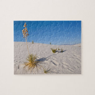 Seifenbaum-Yucca, langer Schatten, Querdünen Puzzle