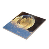 Seifenblase auf Schnee Fliese (Seite)