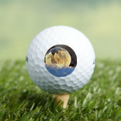 Seifenblase auf Schnee Golfball (Insitu T-Shirt)