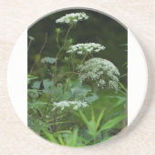 Seifenschablone Untersetzer (Vorne)