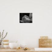 Seile auf Rosenknospe, schwarz und weiß Poster (Küche)