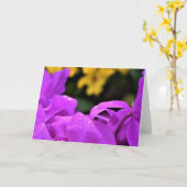 Seile, Karte (Gelbe Blume)