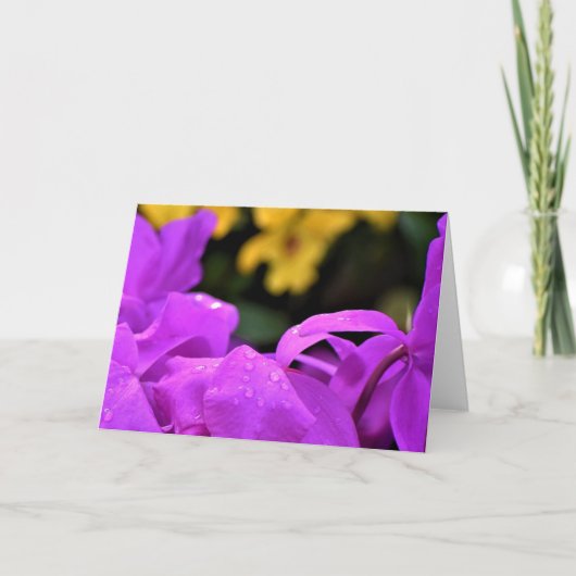 Seile, Karte (Vorderseite)