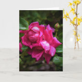 Seile und Rote Rosen, Karte (Gelbe Blume)