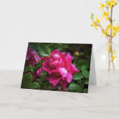 Seile und Rote Rosen, Karte (Gelbe Blume)