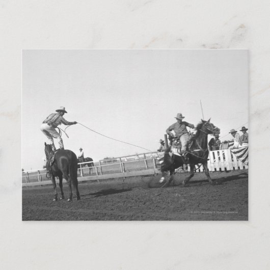 Seilpferd Postkarte (Vorderseite)