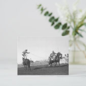 Seilpferd Postkarte (Stehend Vorderseite)