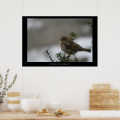 "Sein Auge ist auf dem Sparrow! Poster (Küche)