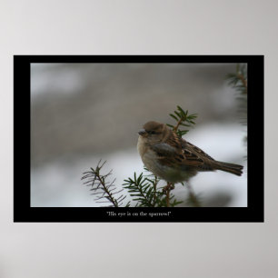 "Sein Auge ist auf dem Sparrow! Poster
