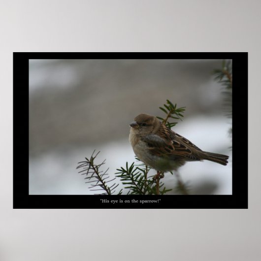 "Sein Auge ist auf dem Sparrow! Poster (Vorne)
