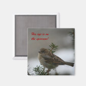 Sein Auge ist auf dem Spatzen! Magnet (Vorderseite/Rückseite)