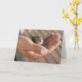 Sein Auge ist auf der Spatz christlichen Karte (Gelbe Blume)