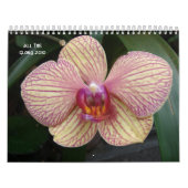 SEIN ganzer Ruhm… 2010 Kalender (Titelbild)