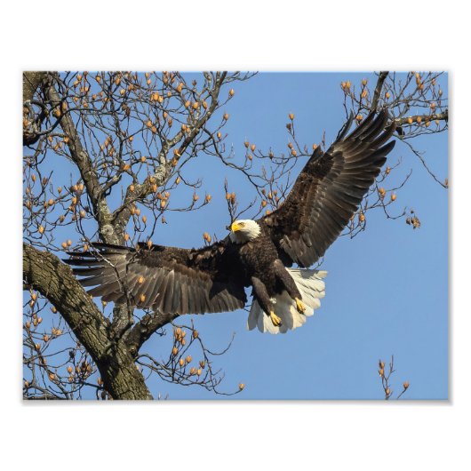 Sein großer Eingang Fotodruck (Vorne)