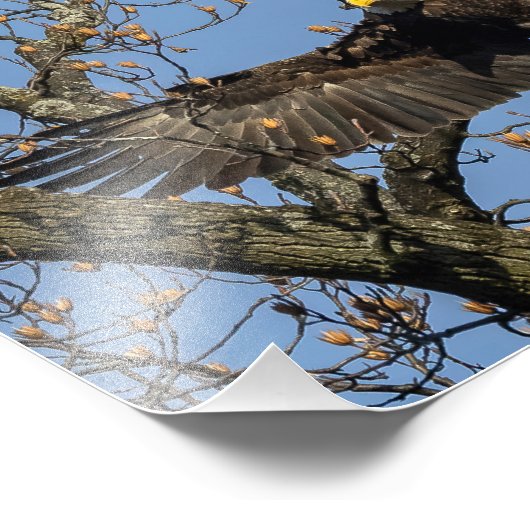 Sein großer Eingang Fotodruck (Ecke)