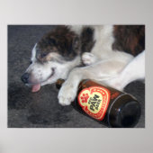 Sein Master-Vizepräsident Poster (Vorne)