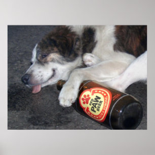 Sein Master-Vizepräsident Poster