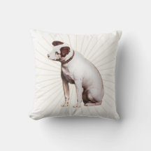 Sein Meistervoice Sunshine