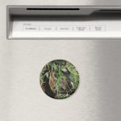 Sein Onery Magnet (In Situ (Geschirrspüler))