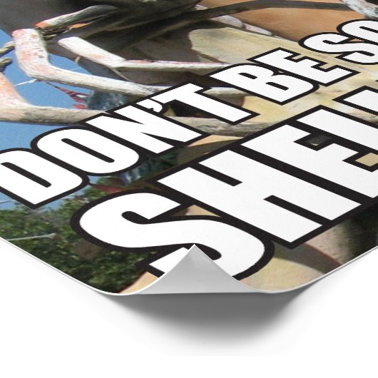 SEIN SIE NICHT SO SCHELLFISCH! MEMO POSTER (Ecke)