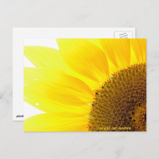 sein Sonnenblume Postkarte (Vorne/Hinten)