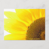 sein Sonnenblume Postkarte (Vorderseite)