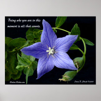 Sein, wer du bist. poster