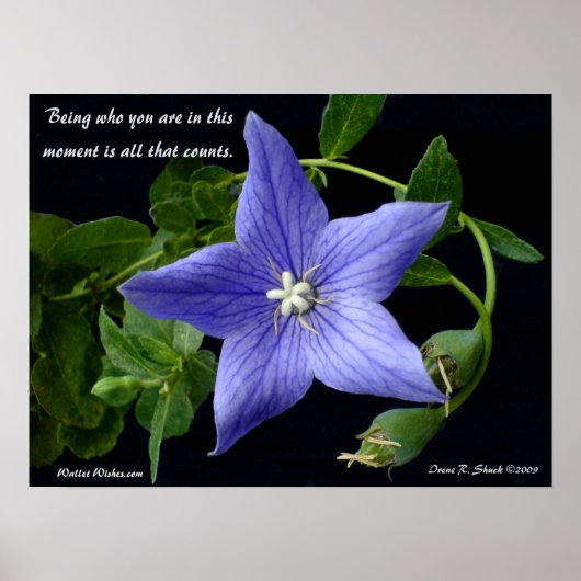 Sein, wer du bist. poster (Vorne)