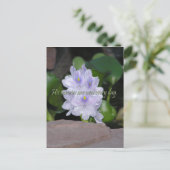 Seine Barmherzigkeit Postkarte (Stehend Vorderseite)