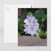 Seine Barmherzigkeit Postkarte (Vorne/Hinten)