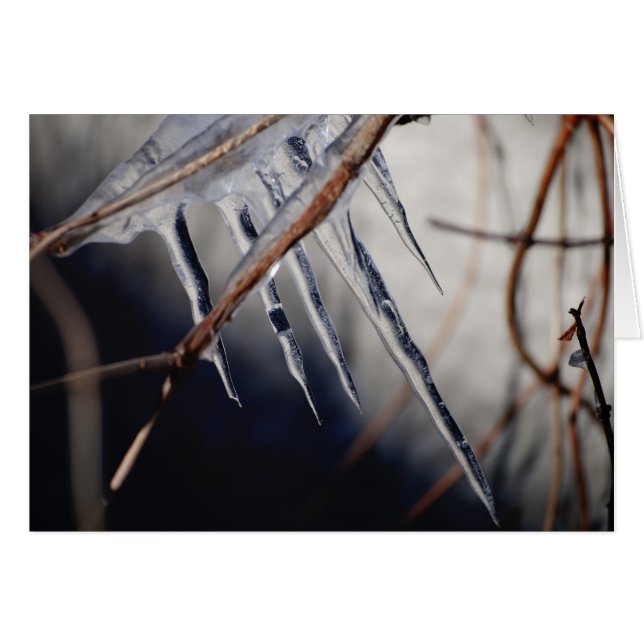 seine beißende Touch (Vorderseite (Horizontal))