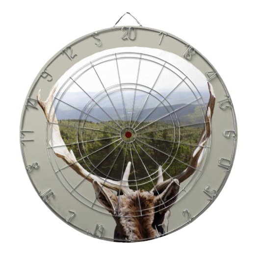 Seine Domäne Dartscheibe (vorne)