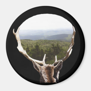 Seine Domäne Magnet