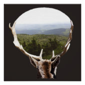 Seine Domäne Poster (Vorderseite)