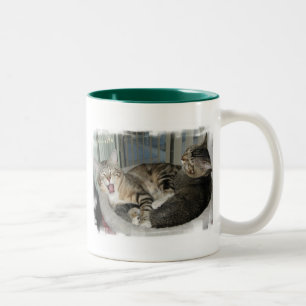 Seine ein harten Lebens-Katzen Zweifarbige Tasse