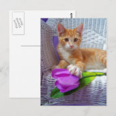 seine Hochlichkeit Cole Postcard Postkarte (Vorne/Hinten)