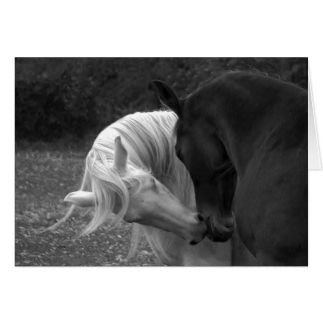 Seine Liebe (Vorderseite (Horizontal))