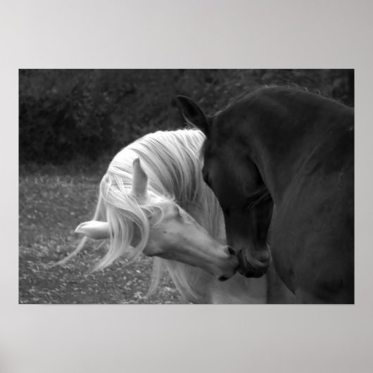 Seine Liebe Poster (Vorne)