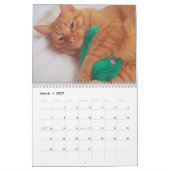 Seine Majestät der Kalender der Katzen-2011 (Mär 2027)